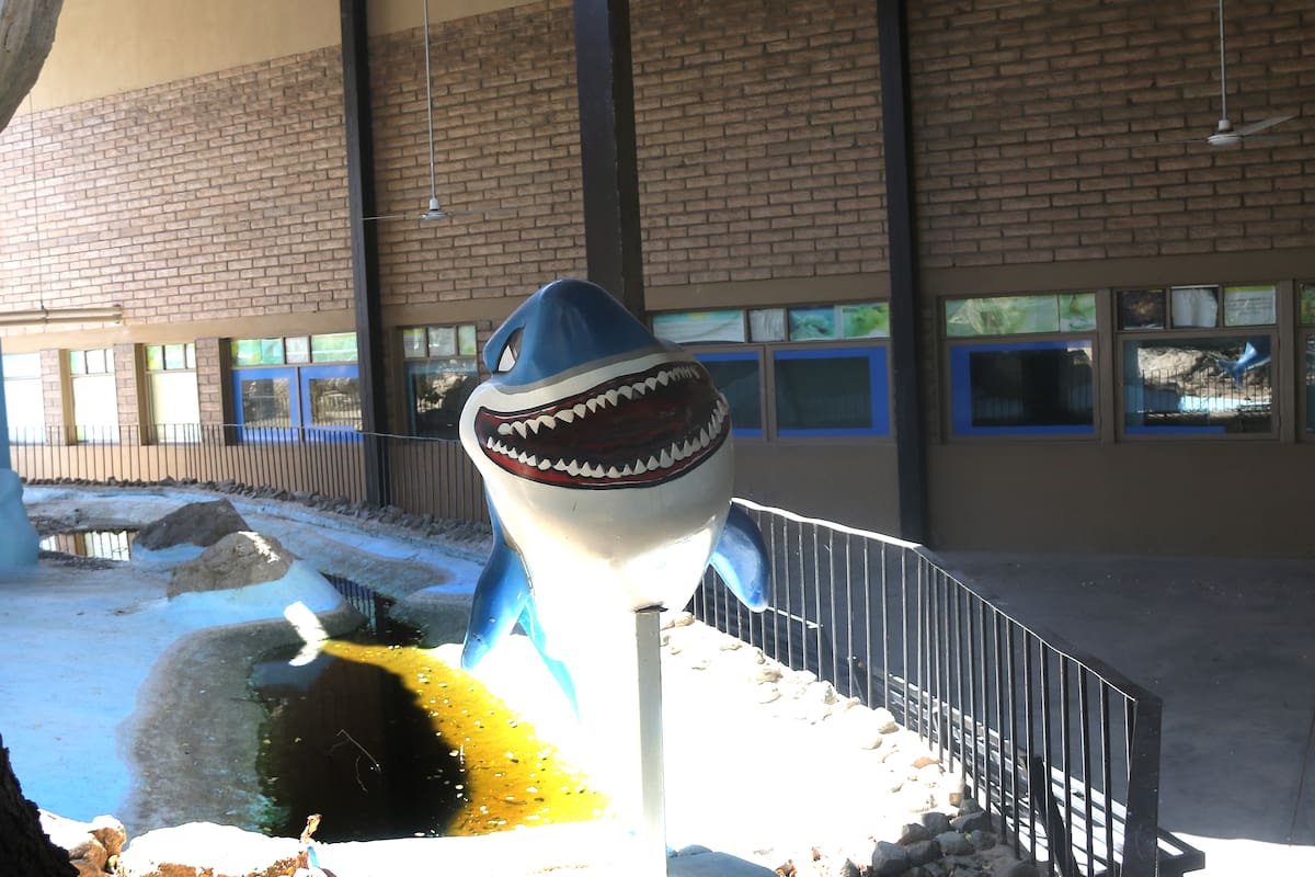 Invertirán 5 millones de pesos en rescate del acuario del Centro Ecológico de Sonora