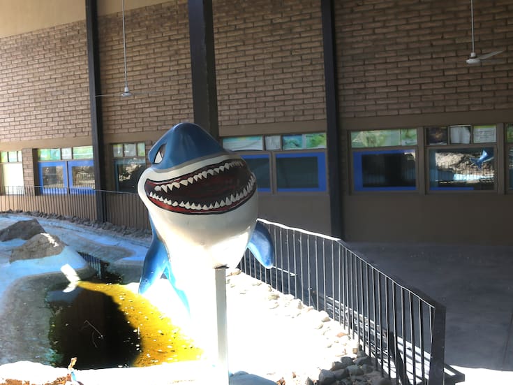 Invertirán 5 millones de pesos en rescate del acuario del Centro Ecológico de Sonora