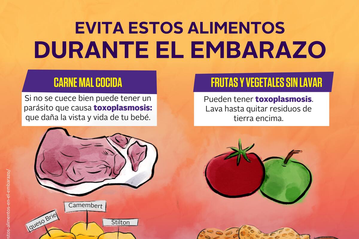 Evita estos alimentos durante el embarazo