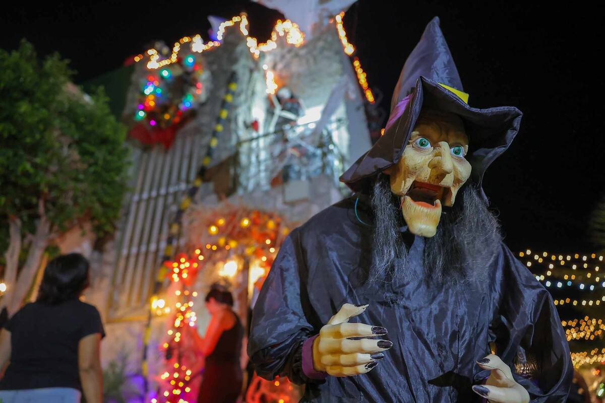 La mayoría de las creaciones las ha logrado con sus propias manos.