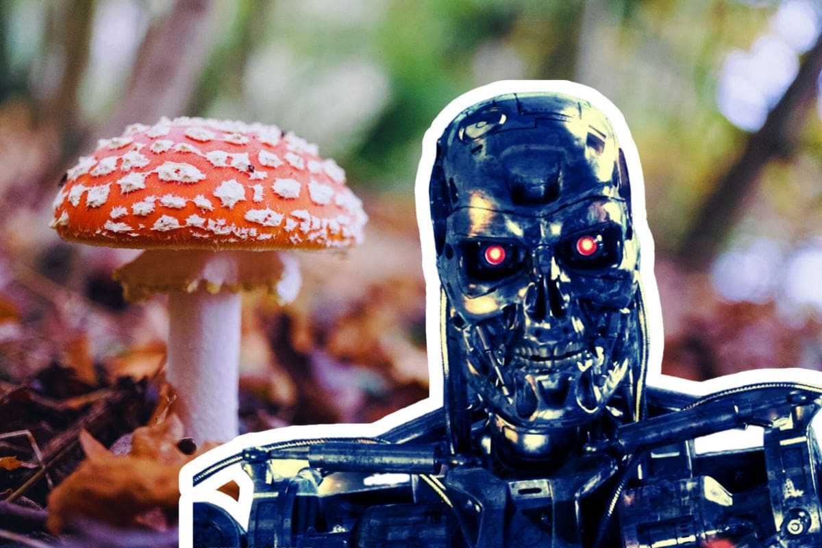 Familia fue envenenada por culpa de la Inteligencia Artificial