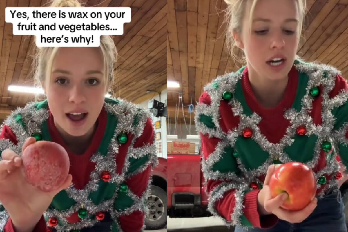 TikTok: ¿Qué hay detrás del brillo de las manzanas? Una agricultora lo explica