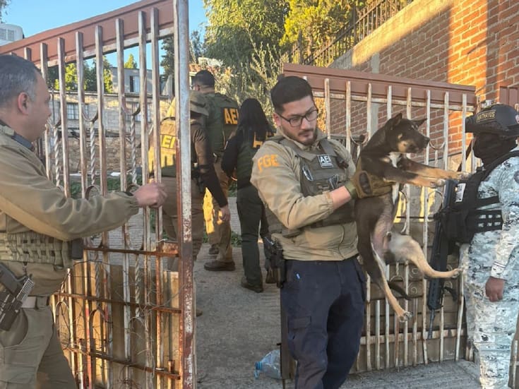 Rescatan a tres perritos abandonado en predio de Tecate