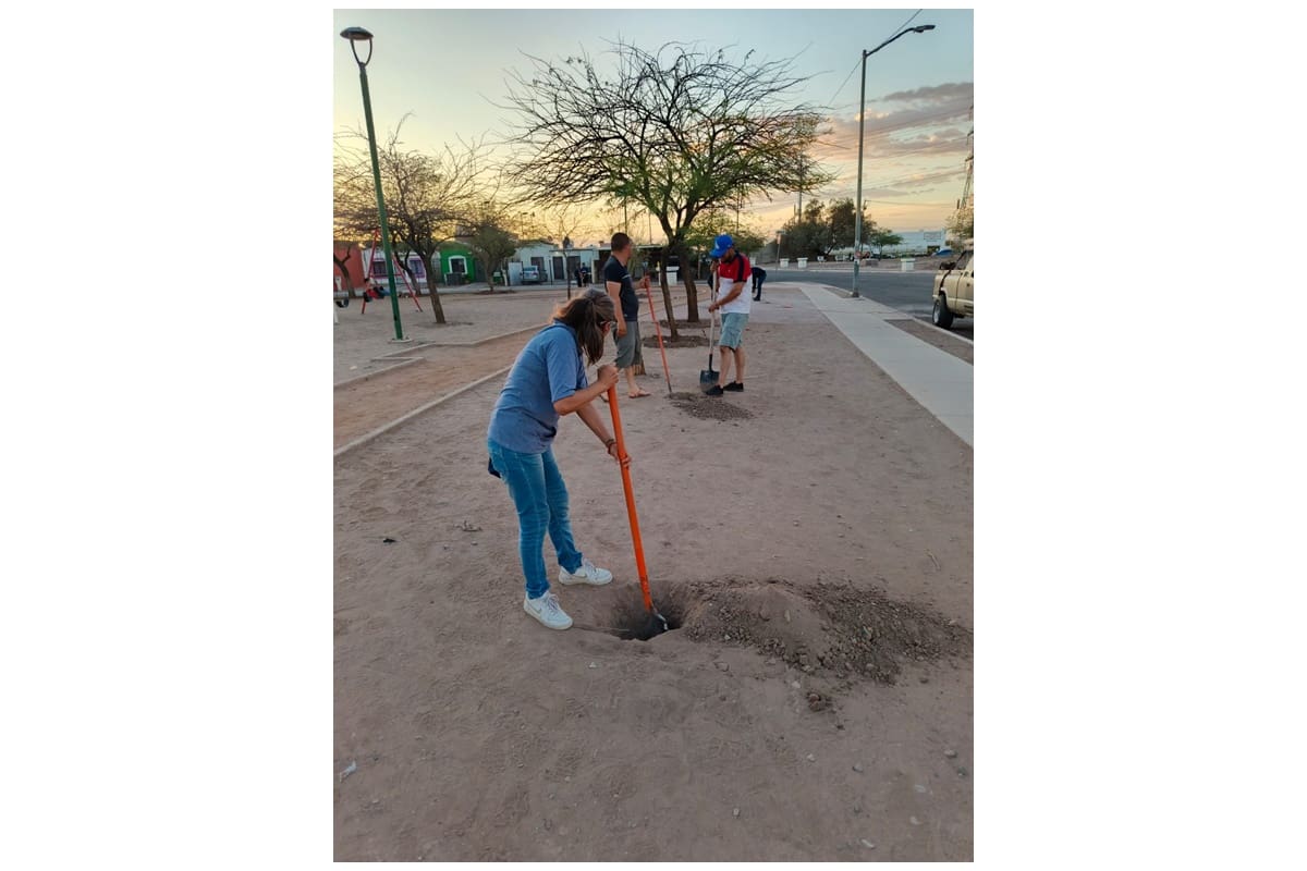 Vecinos reforestan parque y crean pulmón verde en Urbi Villa del Prado