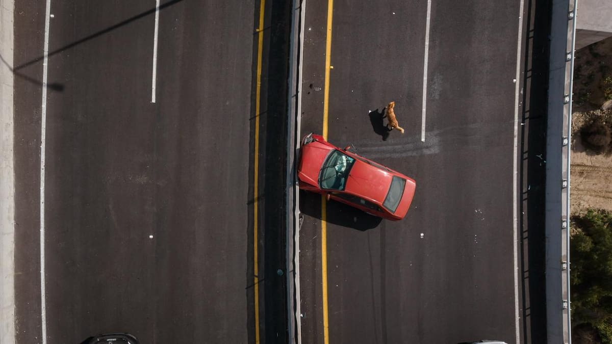 El accidente ocurrió en una curva; no se reportaron lesiones de gravedad. Foto: Border Zoom
