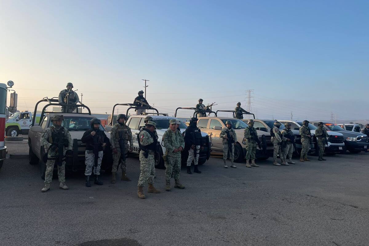 Operativo enjambre: Golpe histórico contra la colusión entre crimen organizado y servidores públicos en Edomex