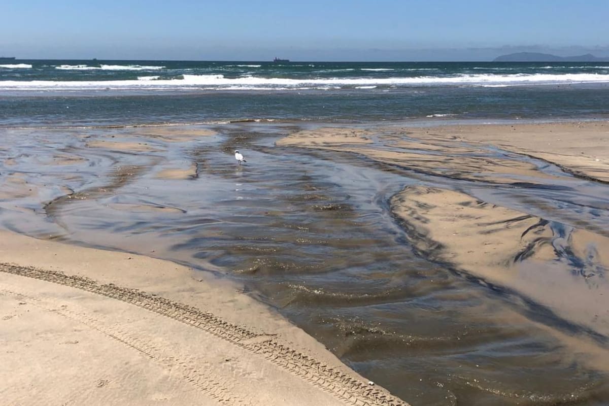 Detectan 20 descargas de aguas residuales en Rosarito; análisis de Coepris confirma que las playas son aptas para su uso recreativo