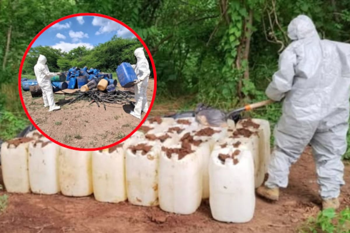 Operativo en Culiacán y Cosalá revela red de químicos para drogas sintéticas y destruye plantío de marihuana