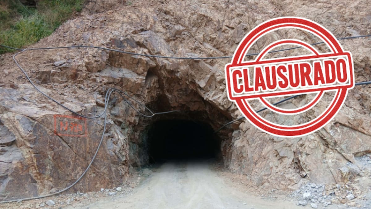 Profepa clausura proyecto minero en Durango: empresa usó permisos vencidos y devastó más de 3,500 m² de selva