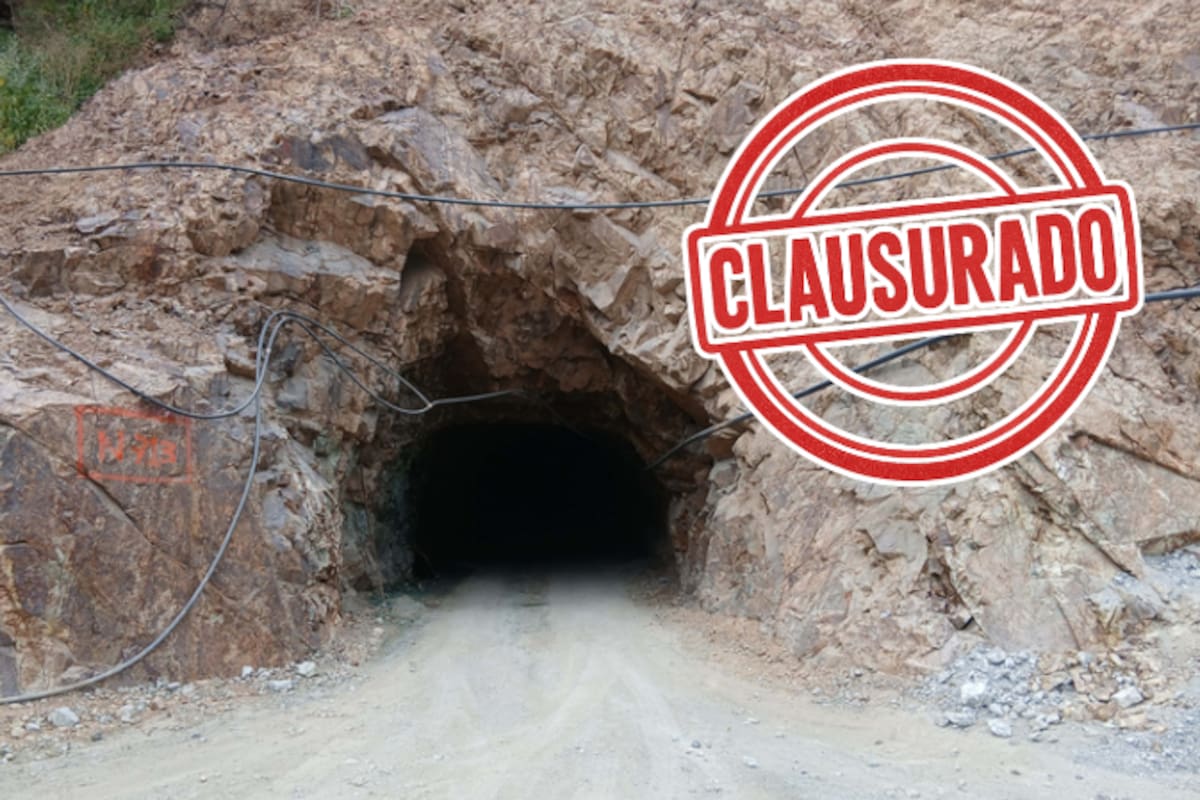 Profepa clausura proyecto minero en Durango: empresa usó permisos vencidos y devastó más de 3,500 m² de selva