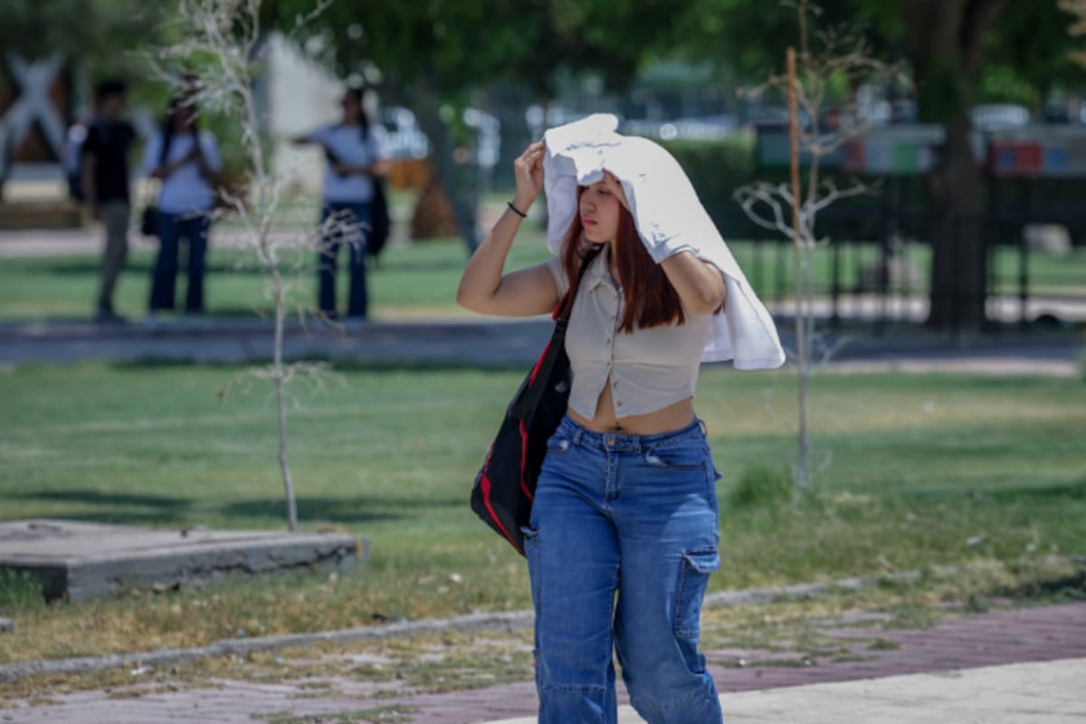 Clima Mexicali: persistirá el calor intenso con máximas de 43 grados este lunes