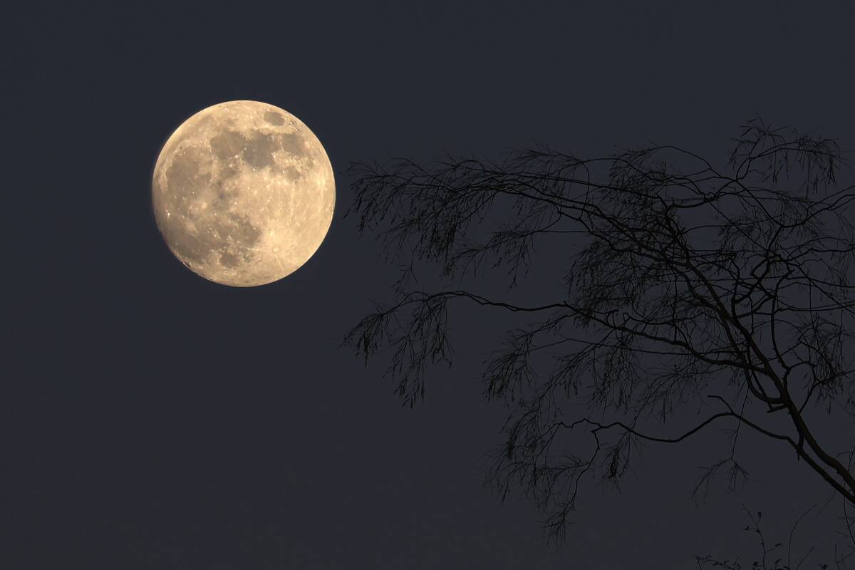 “Luna Fría” y más eventos astronómicos de diciembre 2024