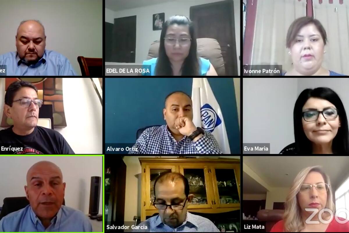 Matrimonio igualitario es distractor para polarizar: PAN