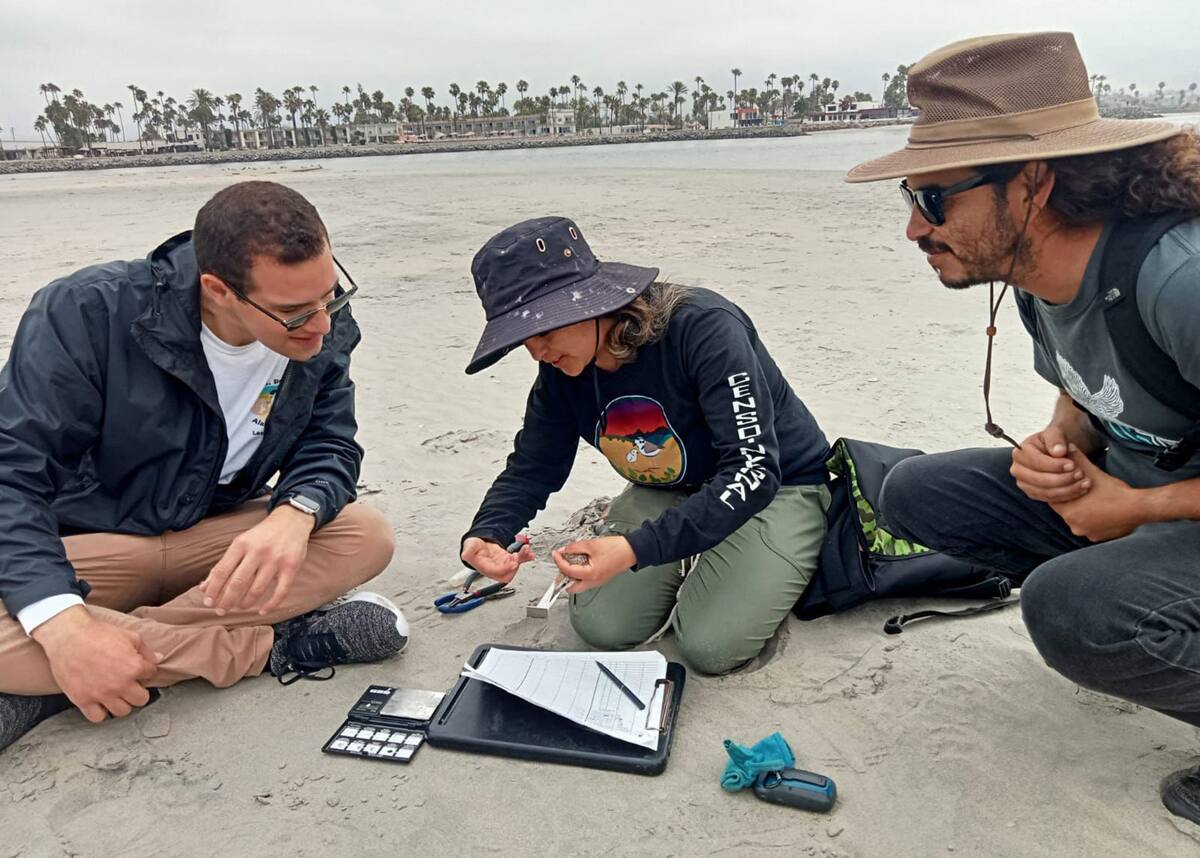 Autoridades de la Subdirección de Ecología y Medio Ambiente y la bióloga Liliana Ortiz Serrato, de Pro Esteros, A. C. acudieron a una actividad de monitoreo del charrán mínimo.