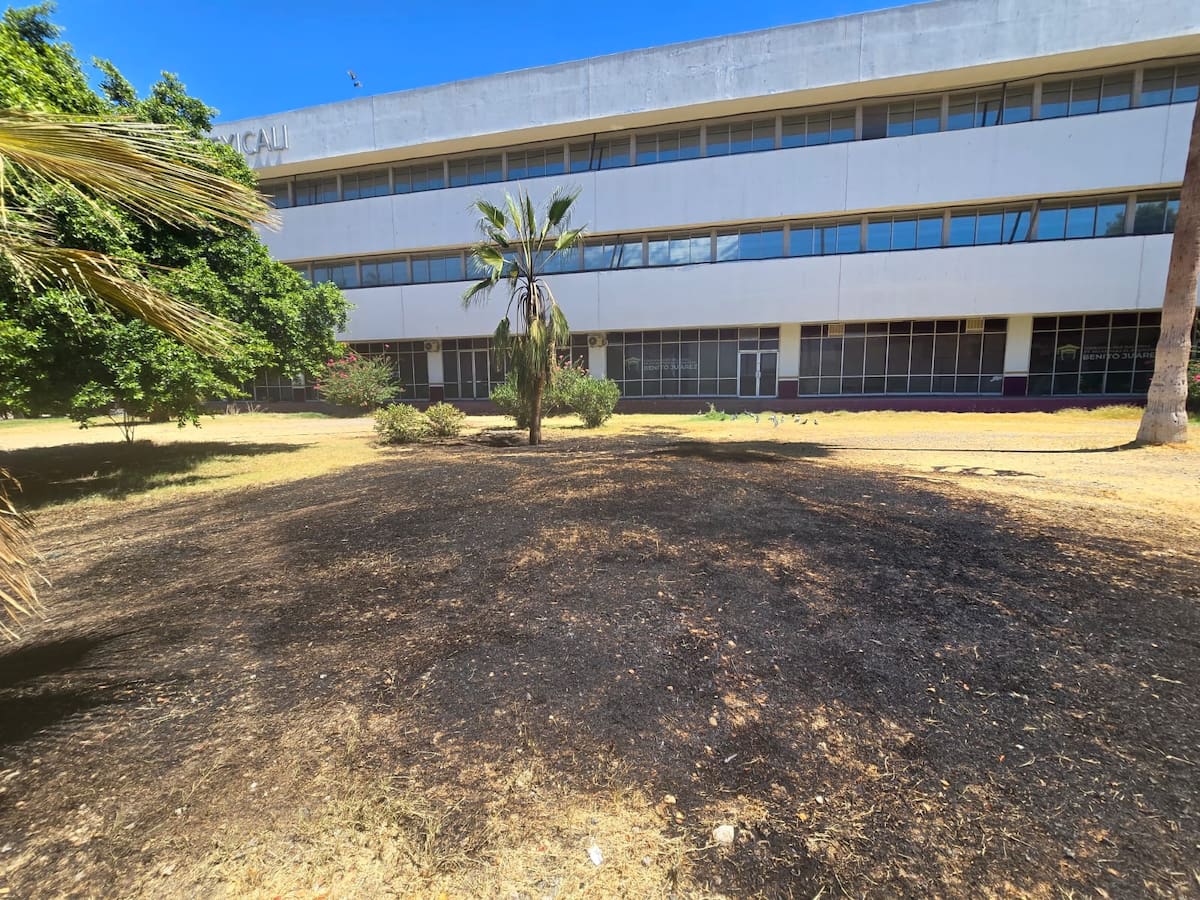 Elementos de la Dirección de Seguridad Pública Municipal (DSPM) detuvieron en flagrancia a un hombre de 35 años de edad por provocar daños al incendiar palmas, material de construcción, una carpa de un puesto ambulante y un cajero automático del Banco del Bienestar.│Foto: Javier Gallegos