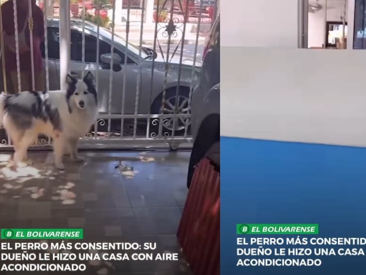 Hombre se vuelve viral por construirle a su husky una pequeña casa con aire acondicionado integrado