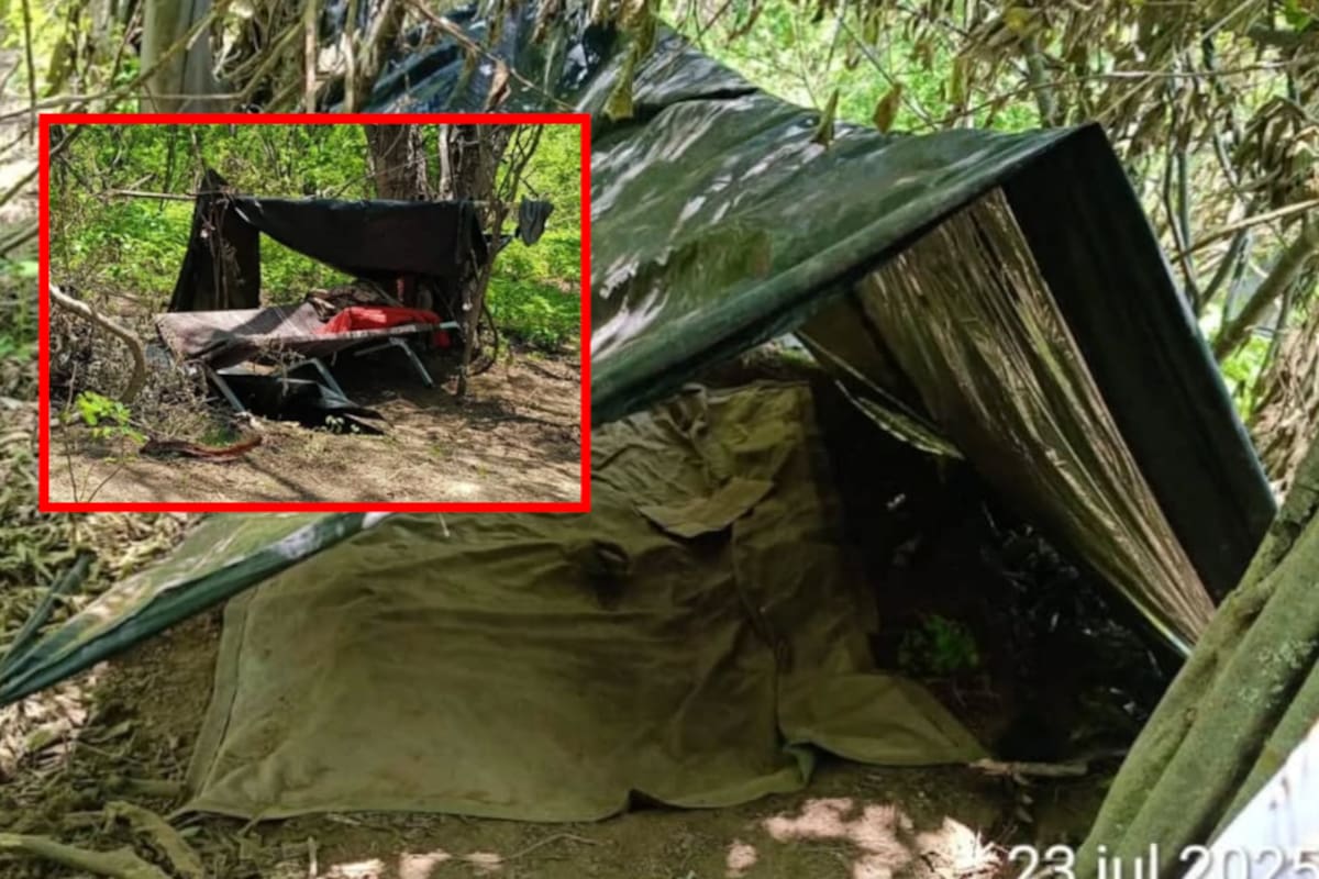 Desmantelan campamento con 12 casas de campaña usado por grupo criminal en Sinaloa
