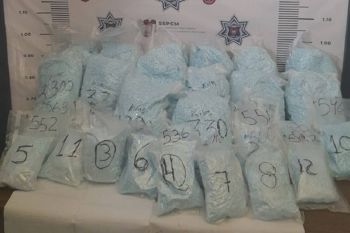 Descubren ‘mula ciega’ en Playas de Tijuana