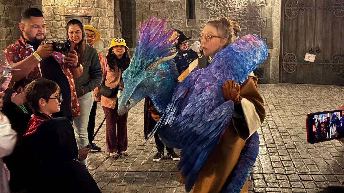 Las experiencias sólo se podrán ver durante las Universal Fan Fest Nights que se realizan del 25 de abril hasta el 18 de mayo.