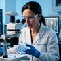 Un fármaco experimental que reprograma el sistema inmunitario logró eliminar por completo el glioblastoma en pruebas preclínicas y científicos de Canadá ya preparan ensayos humanos para combatir el cáncer de cerebro más letal que actualmente no tiene cura
