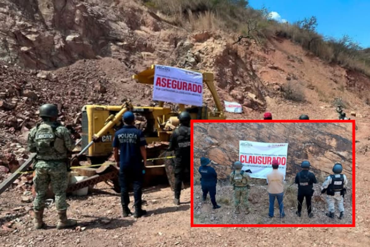 Profepa clausura plantas extractoras de aceite de palma y predio por minería ilegal en Chiapas