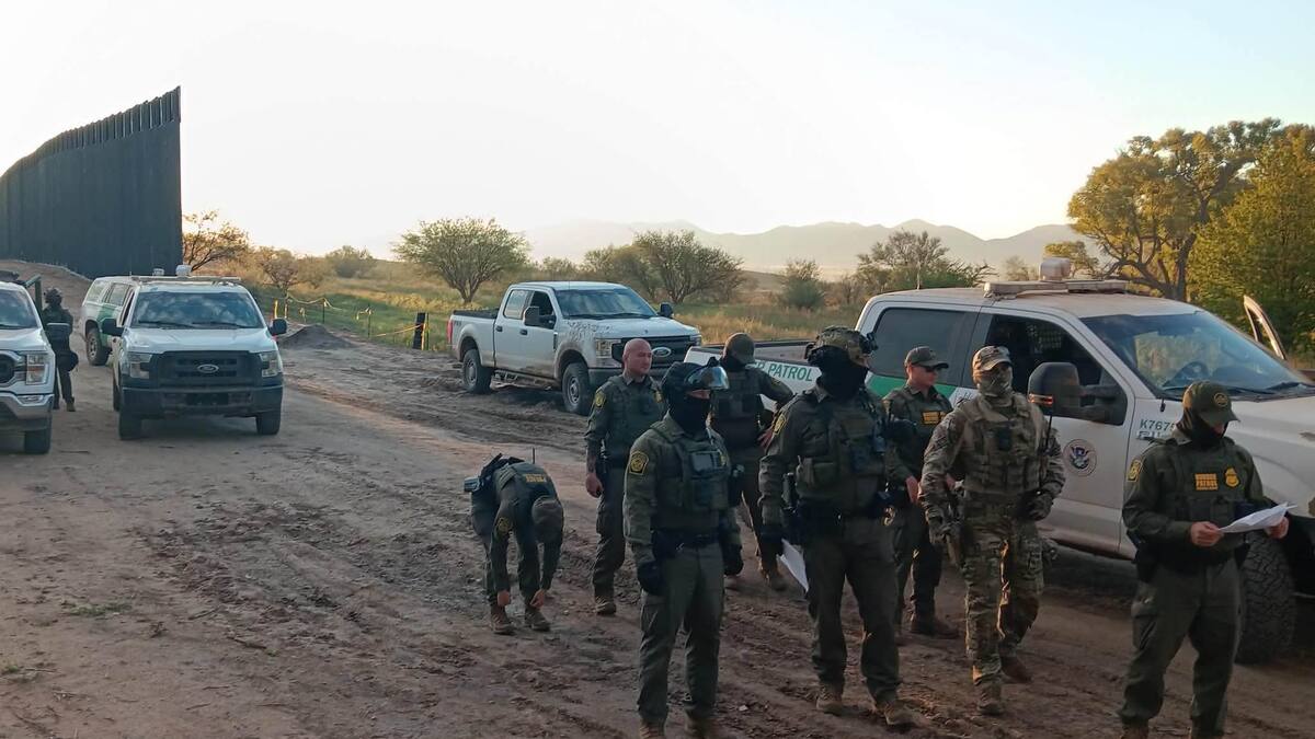 Denuncian agresiones del Bortac contra activistas que defendían el álamo “La Abuela”; al menos 12 detenidos y varios lesionados en Lochiel