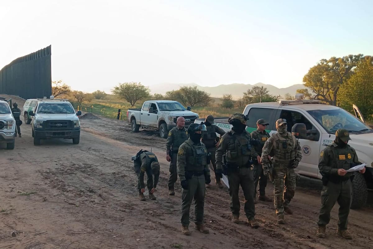 Denuncian agresiones del Bortac contra activistas que defendían el álamo “La Abuela”; al menos 12 detenidos y varios lesionados en Lochiel