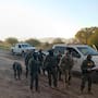 Denuncian agresiones del Bortac contra activistas que defendían el álamo “La Abuela”; al menos 12 detenidos y varios lesionados en Lochiel