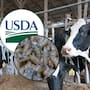 ¿Qué está pasando en Texas? Investigación en curso por posible caso de gusano barrenador en ganado; autoridades de Estados Unidos esperan resultados de laboratorio en Iowa
