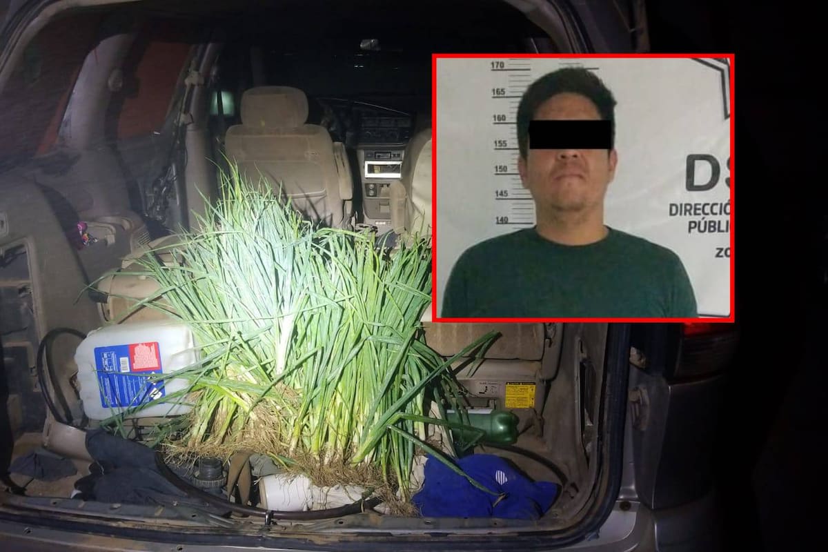 Robaba cebollas en un terreno rústico, huyen y es detenido