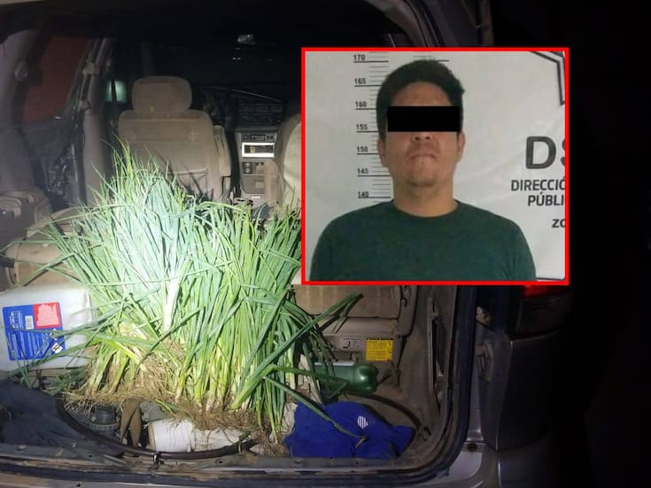 Robaba cebollas en un terreno rústico, huyen y es detenido