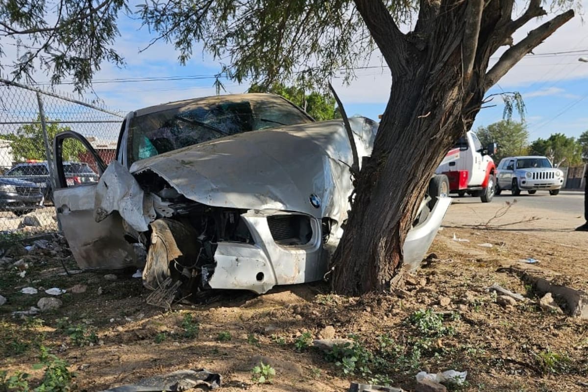 BMW se estrella contra árbol; hallan bebidas alcohólicas en el lugar
