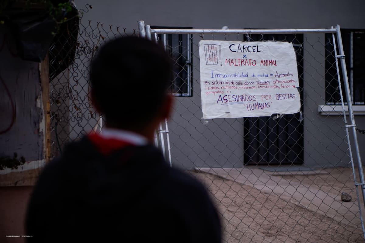 El caso de "Honey", una perrita asesinada a cuchilladas por un hombre en el fraccionamiento Hacienda de Castilla, despertó la indignación de la comunidad, que exige justicia ante otro caso más de maltrato y crueldad animal.│Foto: Juan Hernández/Border Zoom