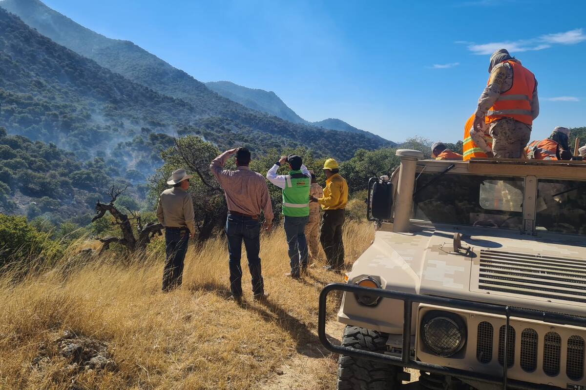 Liquidan incendio forestal de la sierra alta de Aconchi