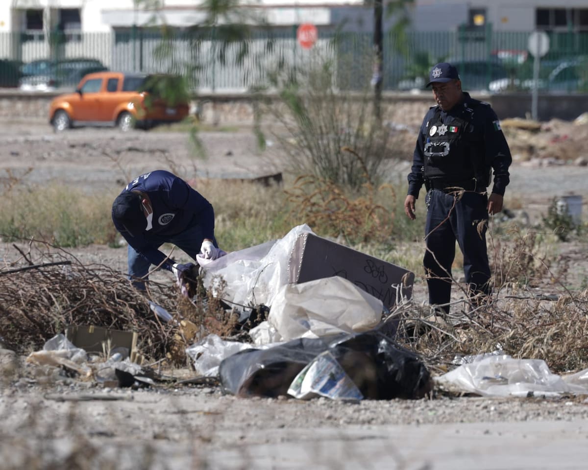 (Foto: Javier Gallegos)