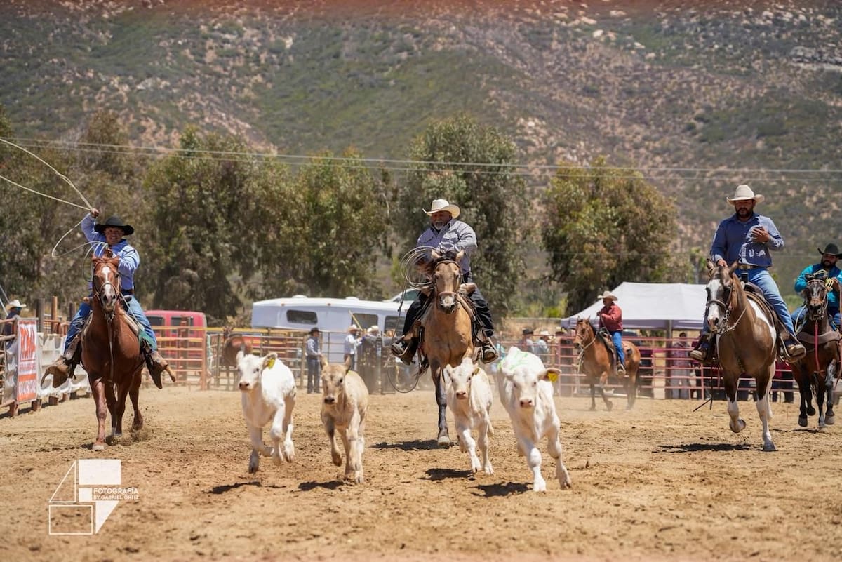 Más de 200 expositores participaron en el evento, que reunió actividades de los sectores agrícola, vinícola, gastronómico y ganadero durante el fin de semana. Foto: Cortesía