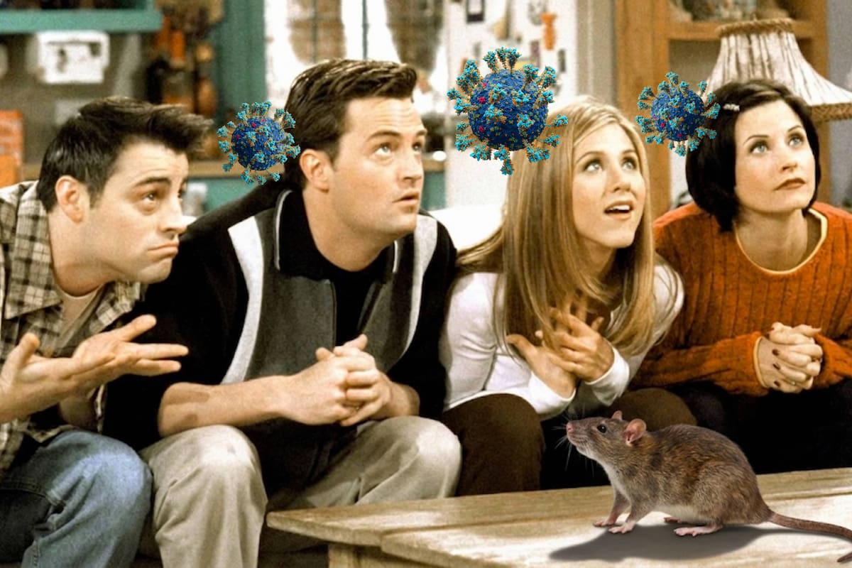 Episodio de Friends irónicamente se hace viral por mencionar el Hantavirus hace 23 años