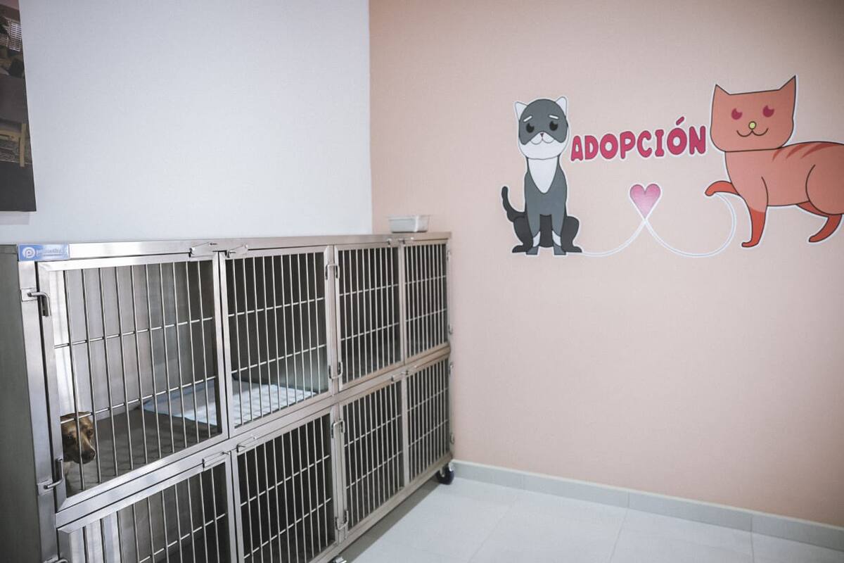 Foto: Daniel Reséndiz