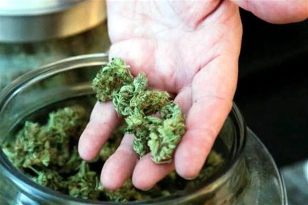 Mariguana: San Diego/TIJ en la frontera del consumo