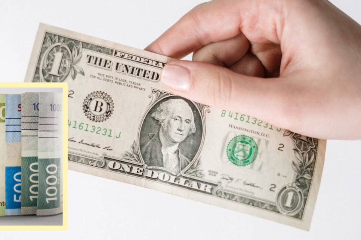 ¿Cómo amaneció el dólar? Así cotiza el tipo de cambio hoy sábado 1 de marzo de 2025