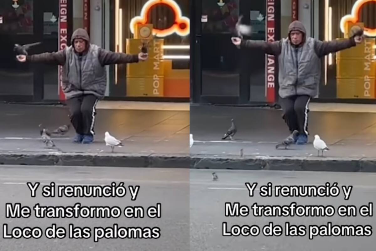 Indigente hace un show con palomas en la vía pública y se vuelve viral en redes