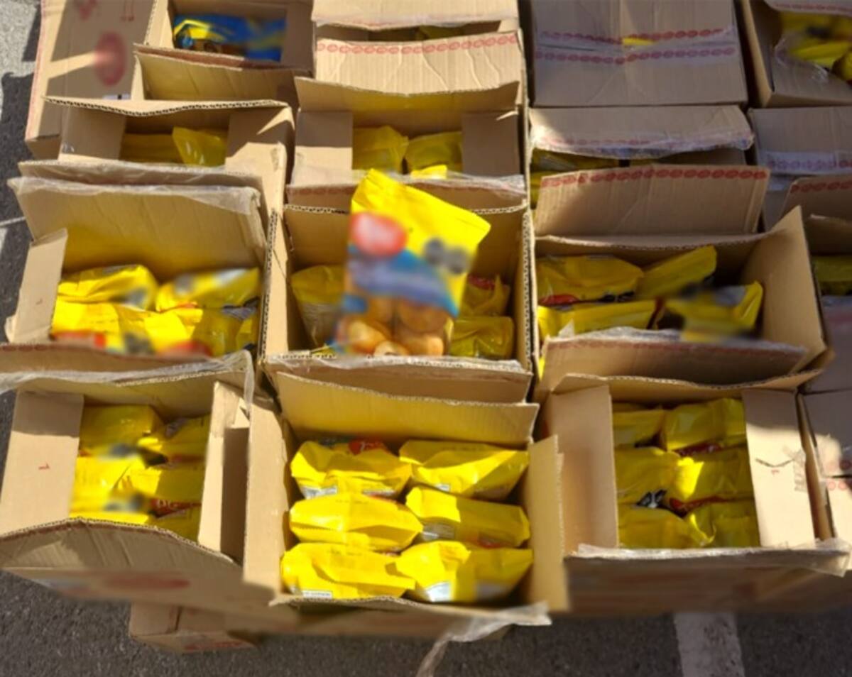 Durante la inspección, se localizaron 453 paquetes rectangulares que contenían 450 kilos con 303 gramos de clorhidrato de cocaína. Foto: Cortesía