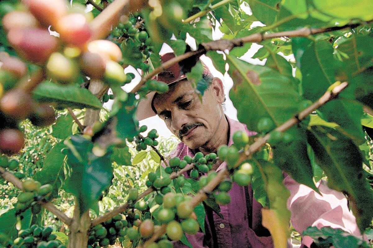 Agro e industria: Los perdedores en empleo