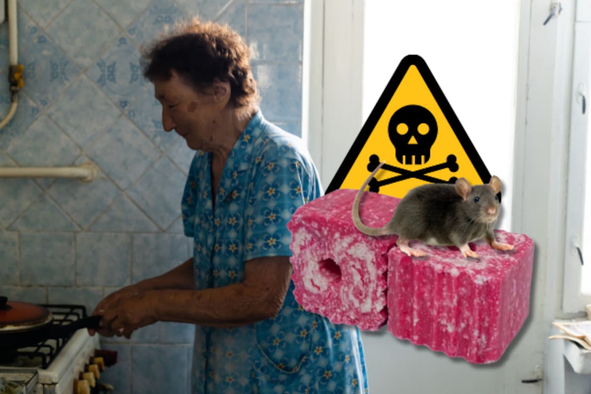 Abuelita de 79 años confunde veneno para ratas con cubos de consomé y provoca intoxicación accidental de su familia en Nuevo León