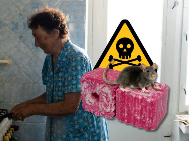 Abuelita de 79 años confunde veneno para ratas con cubos de consomé y provoca intoxicación accidental de su familia en Nuevo León
