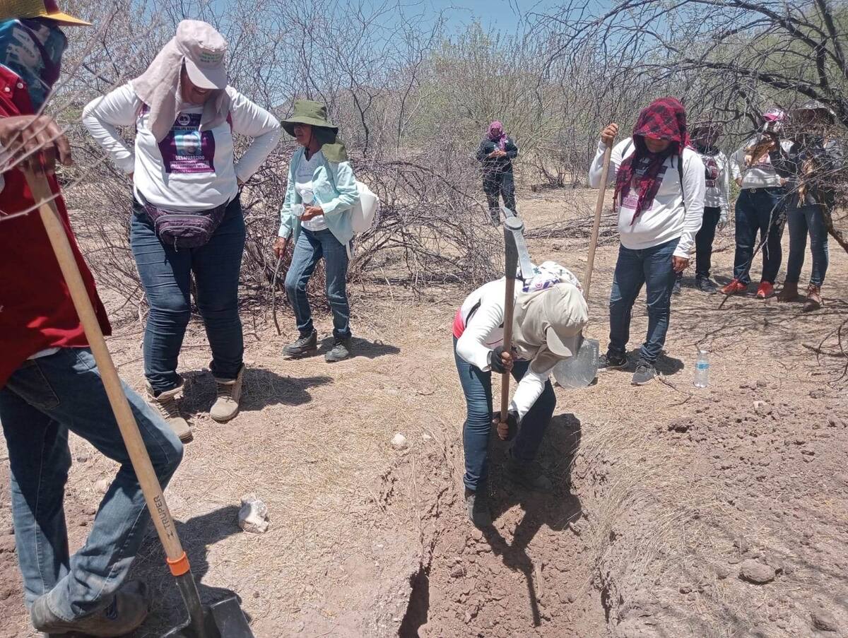 Hallazgo de restos humanos calcinados, al parecer de varias personas, en una fosa clandestina en las inmediaciones de la Mesa del Seri, realizado por el colectivo Madres Buscadoras de Sonora.