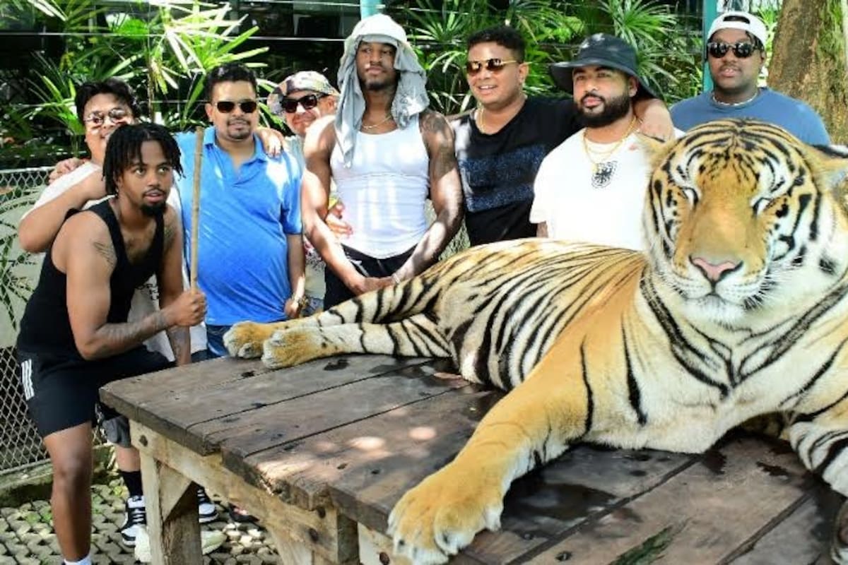 Sandieguino se declara culpable del fraude de 42 millones de dólares en esquema contra ancianos