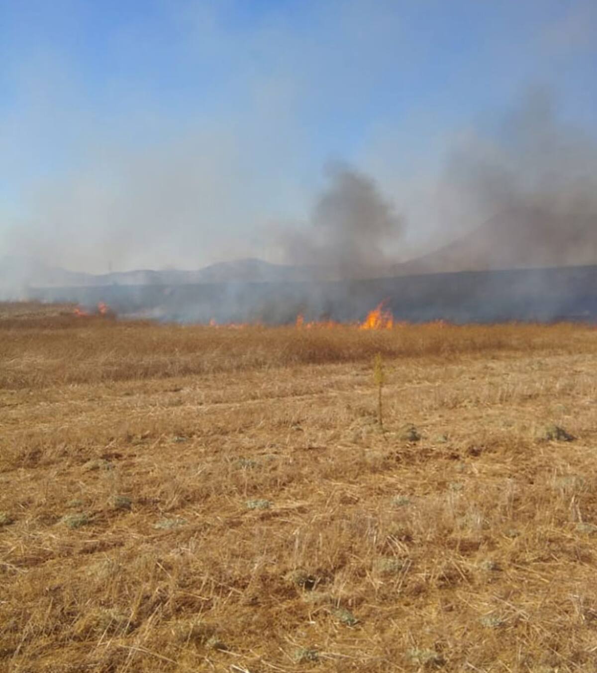 El método de quema controlada es aquel donde se utiliza el fuego como herramienta para áreas agropecuarias.