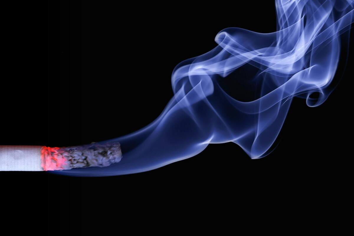 El crimer organizado forza a los pequeños comerciantes a vender cigarros ilegales: Concomercio