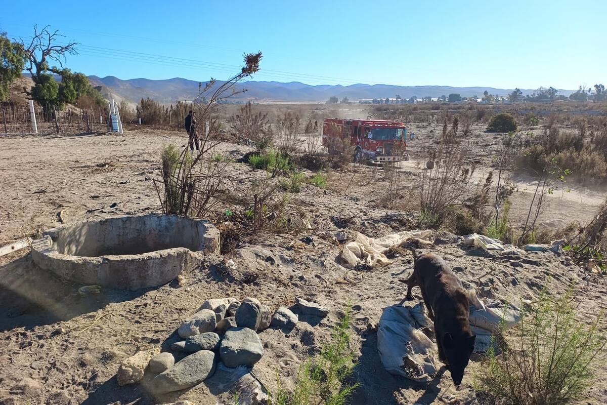 Hallan restos óseos cerca de pozo en San Quintín